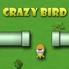 Crazy Bird أيقونة