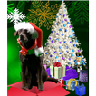 THE SANTA DOG NEW YEARS APP