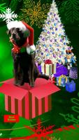 THE SANTA DOG NEW YEARS APP imagem de tela 1