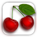 SlotMachine Fruits Free APK