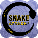 Змеиная атака 2013