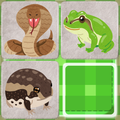 Snakes and frogs slide puzzle