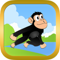 Snappy Chimp