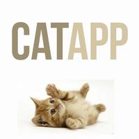 Cat App poster