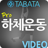 매일 순환운동 하체_pro