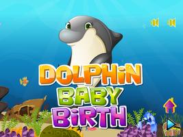 Dolphin Baby Birth poster