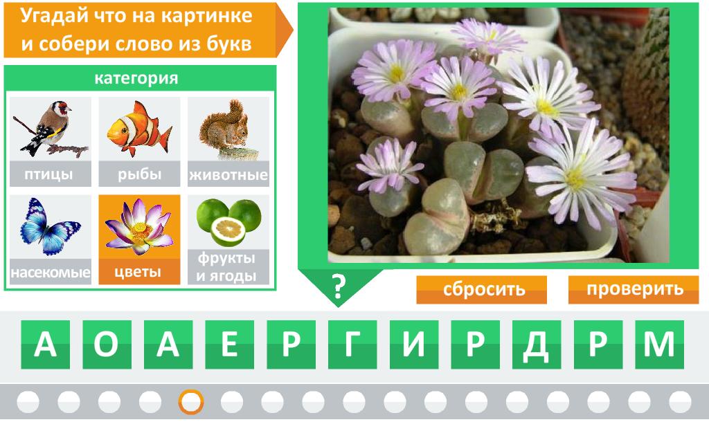 Угадай цветок по картинке. Угадать слово по картинкам. Отгадай слово. Угадать слово в картинке. Угадай растение по картинке.