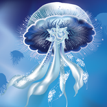 Underwater Find Differences