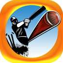 Word Search : Cricket Players APK