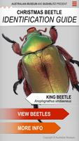 Xmas Beetle ID Guide Affiche
