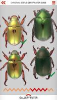 Xmas Beetle ID Guide screenshot 1