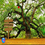 Yal Island Girl Escape