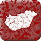 Counties of Hungary-icoon