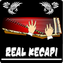 Mobidu Real Kecapi-APK