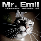 Mr. Emil biểu tượng