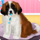 St Bernard Puppy Day Care APK