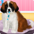 St Bernard Puppy Day Care