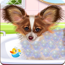 Papillon Puppy Care APK