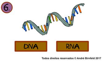 Gênio Quiz Science imagem de tela 2