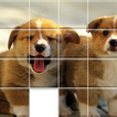 Puppies Sliding Jigsaw