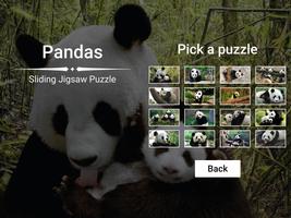 Pandas Sliding Jigsaw poster