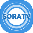 ”소라TV