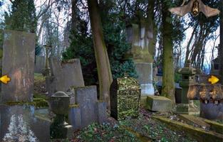 Escape Game-Abandoned Cemetery bài đăng