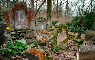 Escape Game-Abandoned Cemetery ảnh chụp màn hình 1