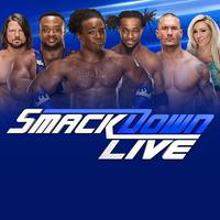 SmackDown : WWE SmackDown, Smack Down all Matches poster