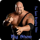 Big Show ,Heavy Weight Fighter: WWE Champion Video APK