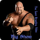 APK Big Show ,Heavy Weight Fighter: WWE Champion Video