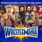 Wrestlemania : All wwe Superstar's Popular Matches ícone