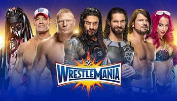 Wrestlemania : All wwe Superstar's Popular Matches Cartaz