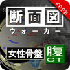 断面図ウォーカー女性骨盤CT無料版 APK