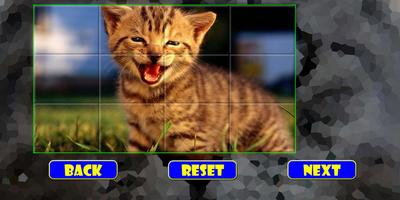 Puzzles: Kittens capture d'écran 1