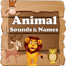 test APK