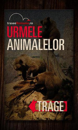 URMELE ANIMALELOR APK for Android Download