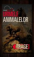 URMELE ANIMALELOR ポスター