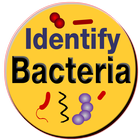 Bacteria Identification Made E آئیکن