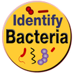 Bacteria Identification Made E