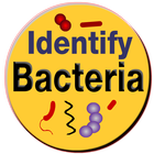 Bacteria Identification Made E biểu tượng