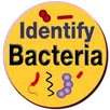 Bacteria Identification Made E APK