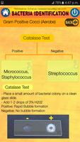 Bacteria Identification Made E 스크린샷 3