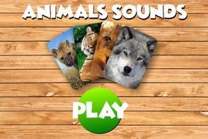 Animal Sounds پوسٹر