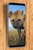 Animal Sounds اسکرین شاٹ 3