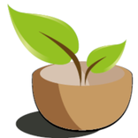 Mari Menanam Hidroponik