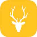 Kook Live Mee APK
