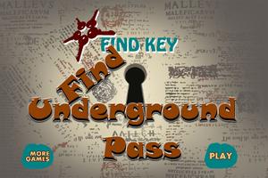 FindUndergroundPass Plakat