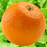 Orange in a Blender