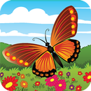 Colorindo a Borboleta APK